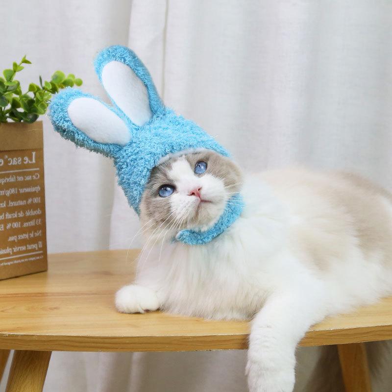 RabbitHat™ - Accessoire de déguisement pour chat - Tout Félins