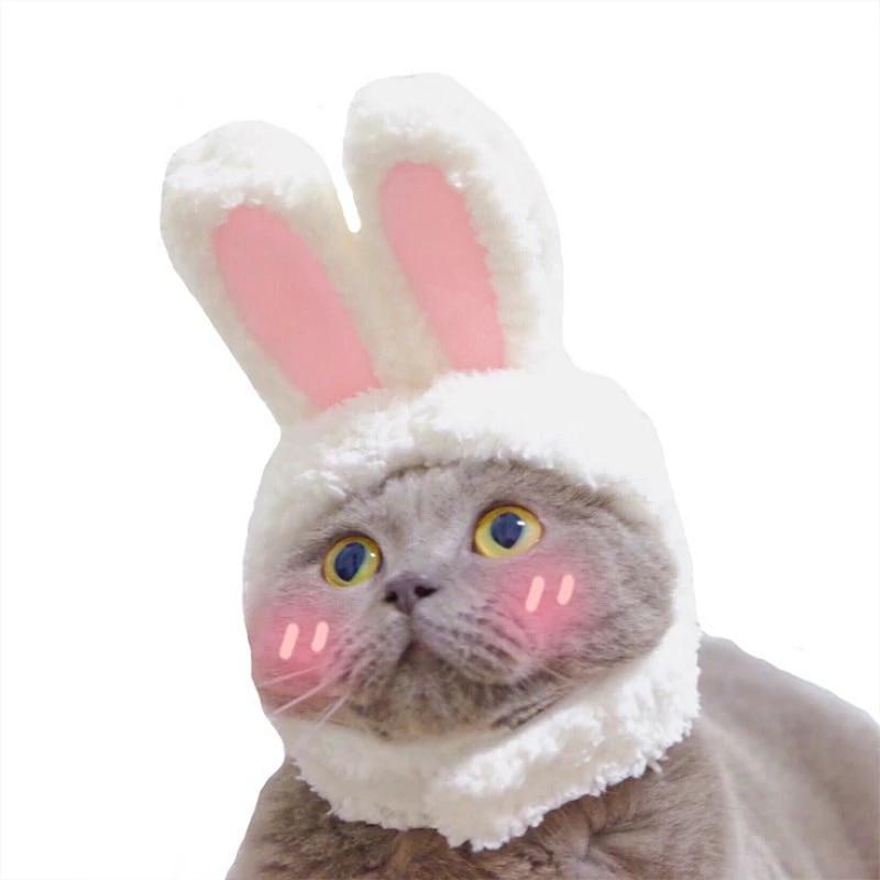 RabbitHat™ - Accessoire de déguisement pour chat - Tout Félins