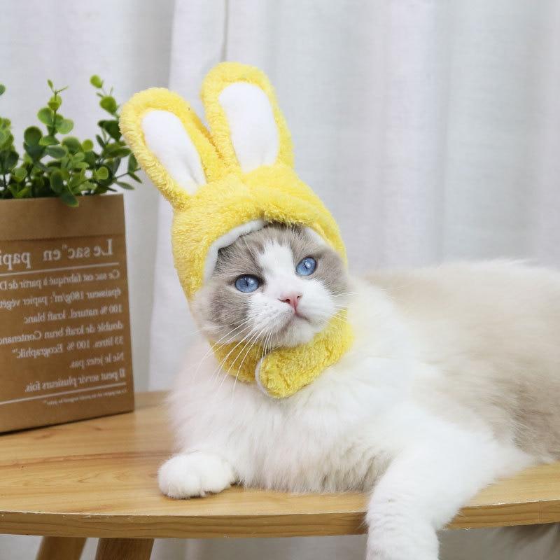 RabbitHat™ - Accessoire de déguisement pour chat - Tout Félins