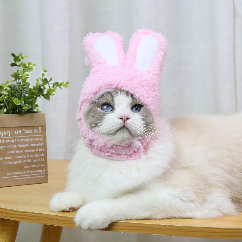 RabbitHat™ - Accessoire de déguisement pour chat - Tout Félins