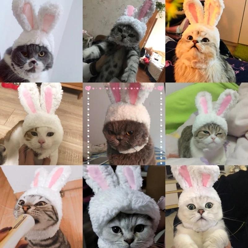 RabbitHat™ - Accessoire de déguisement pour chat - Tout Félins